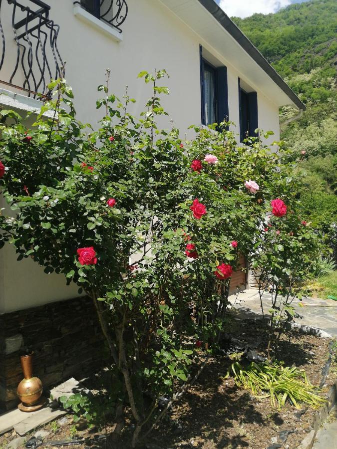 Les Rosiers Bed and Breakfast Bagnères-de-Luchon Buitenkant foto